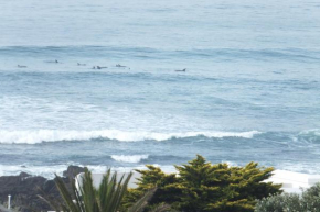 Ocean Tides